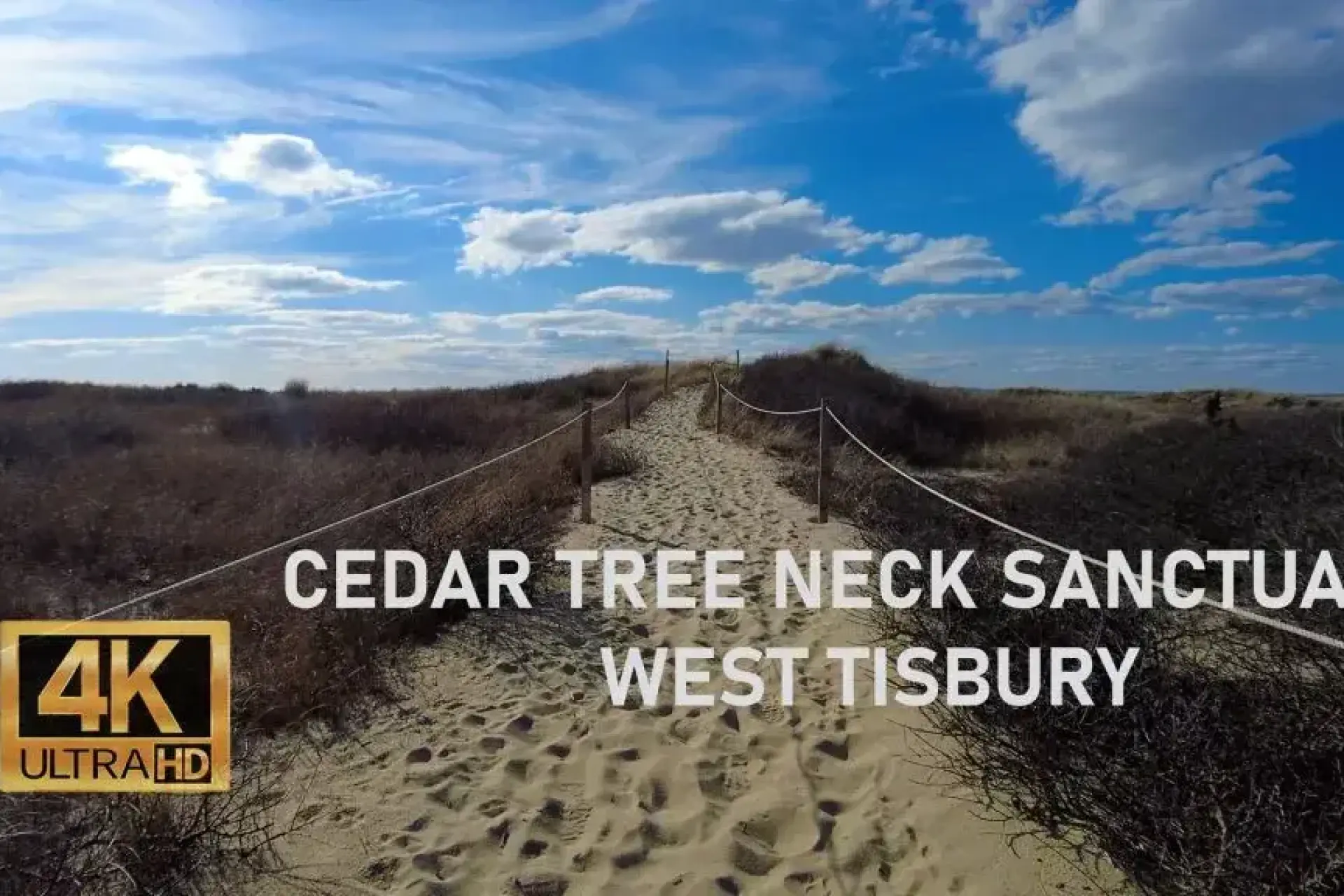 Cedar Tree Neck Sanctuary, West Tisbury