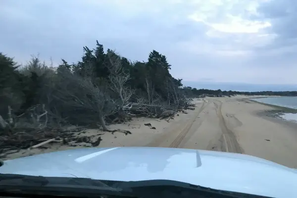 How Big is Martha's Vineyard? 96 Square Miles Size Guide & Comparisons