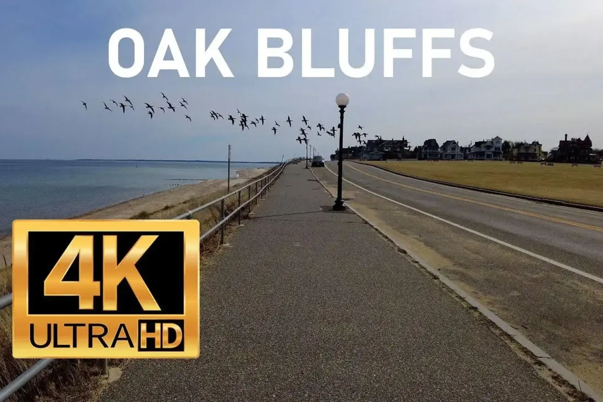 Inkwell Beach Oak Bluffs Walking Tour