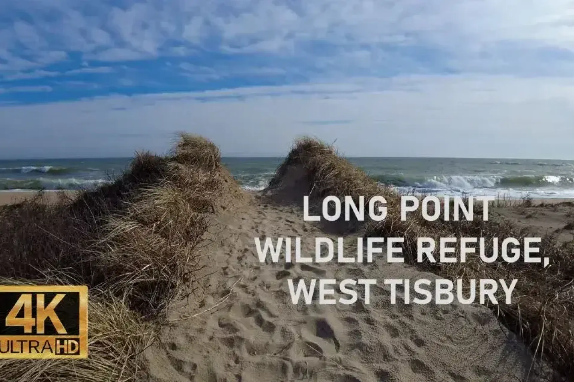 Long Point Wildlife Refuge | MV Vacation