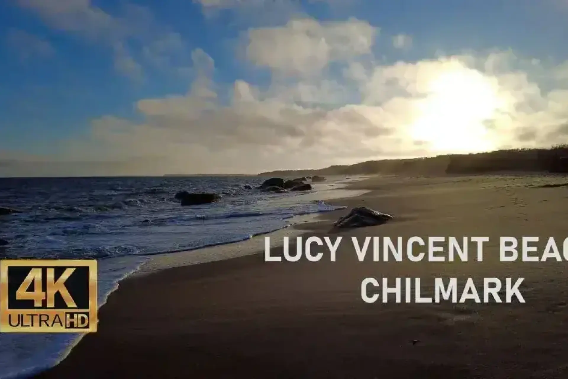 Lucy Vincent Beach Martha’s Vineyard 2024