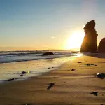 Lucy Vincent Beach Guide Martha's Vineyard - Access, Parking & Visitor Tips 2025