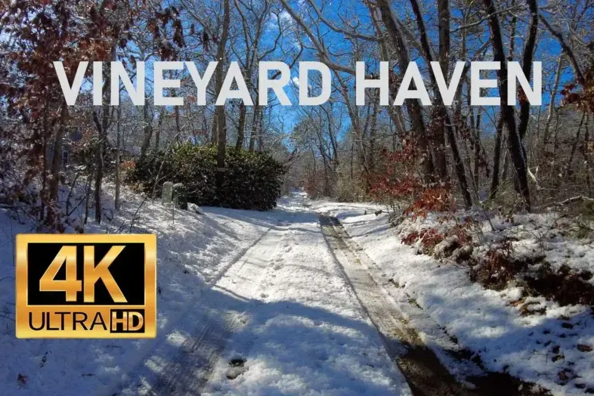 Winter Wonderland Stroll |Scenic Walk Experience