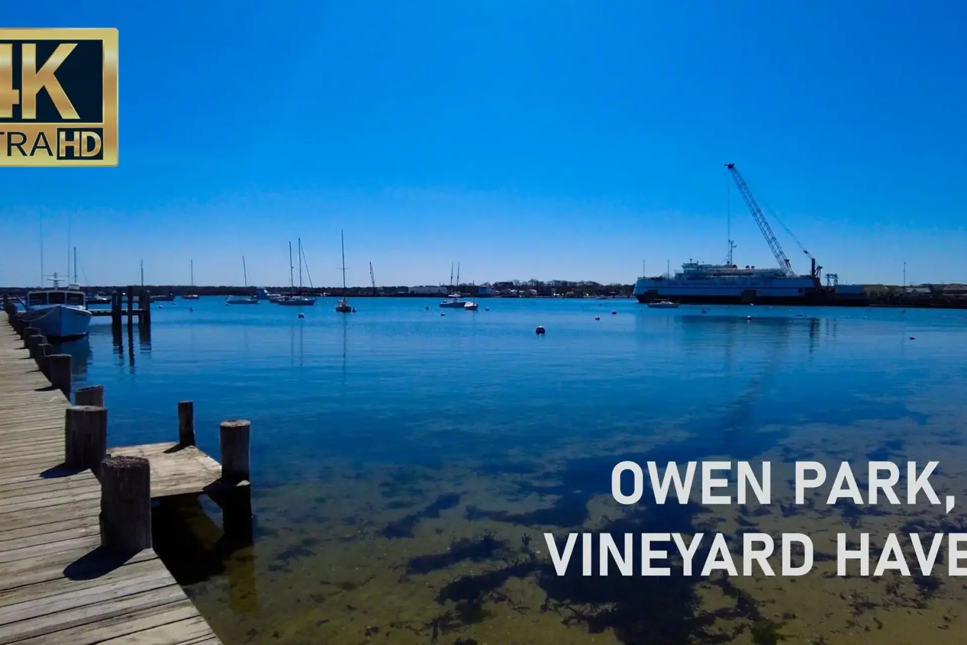 Owen Park Vineyard Haven 2024
